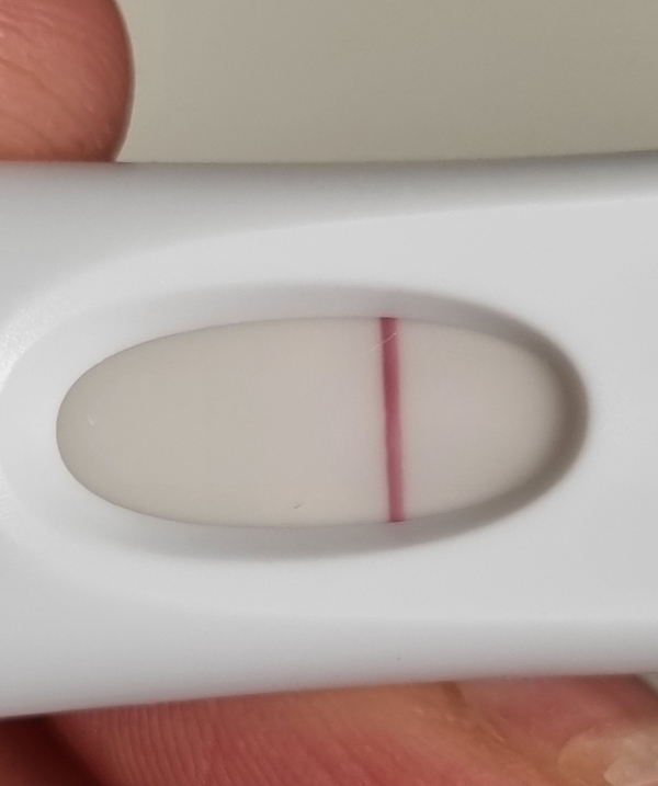 Home Pregnancy Test