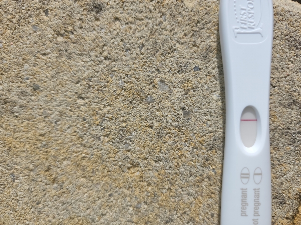 Home Pregnancy Test