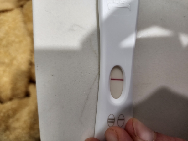 Home Pregnancy Test