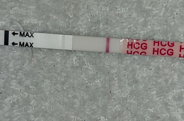 Wondfo Test Strips Pregnancy Test