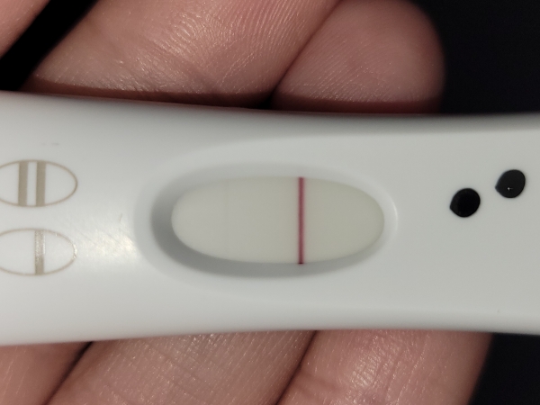 Home Pregnancy Test