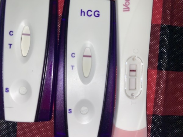Home Pregnancy Test