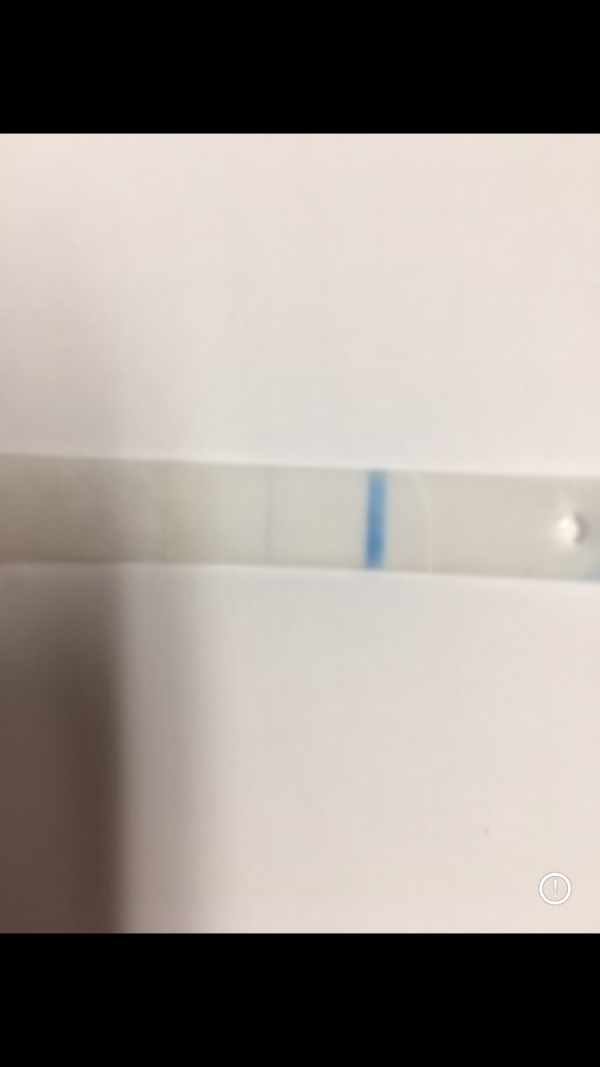 Equate One Step Pregnancy Test, 17 Days Post Ovulation, Cycle Day 37