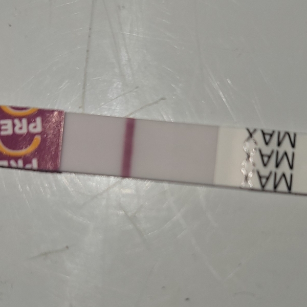 Pregmate Pregnancy Test, 13 Days Post Ovulation, FMU, Cycle Day 41