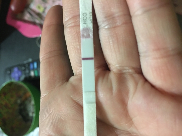 Home Pregnancy Test