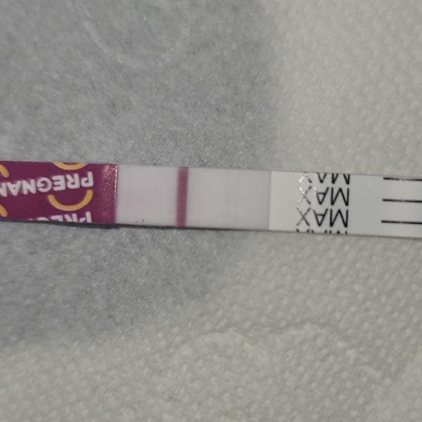 Pregmate Pregnancy Test, Cycle Day 42