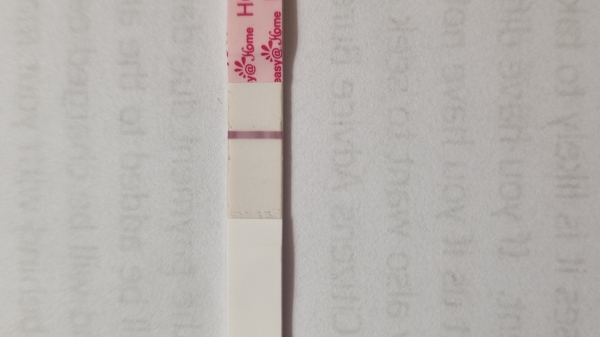 Home Pregnancy Test