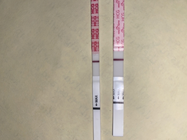 Wondfo Test Strips Pregnancy Test, 12 Days Post Ovulation, Cycle Day 27