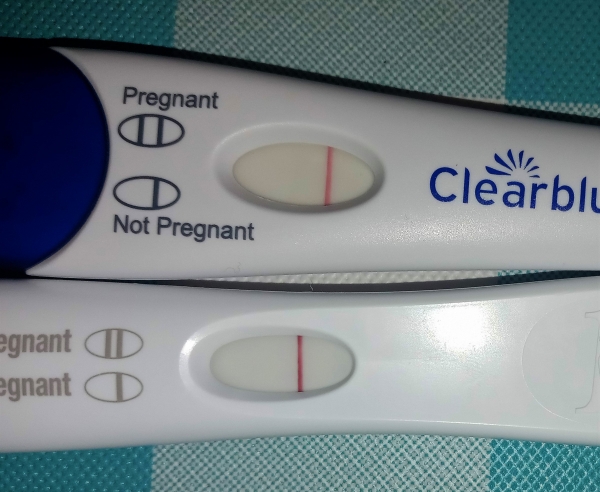 Home Pregnancy Test, 10 Days Post Ovulation, FMU