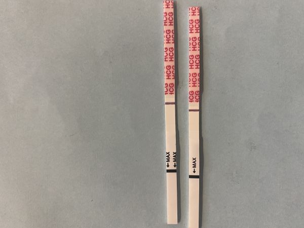 Wondfo Test Strips Pregnancy Test, 13 Days Post Ovulation, Cycle Day 27