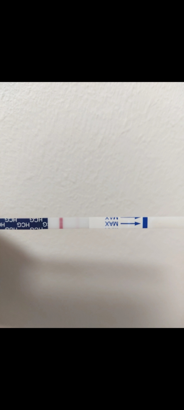 Home Pregnancy Test, 12 Days Post Ovulation, FMU, Cycle Day 31