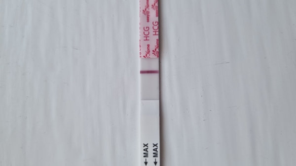 Home Pregnancy Test