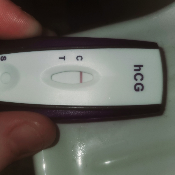 Home Pregnancy Test