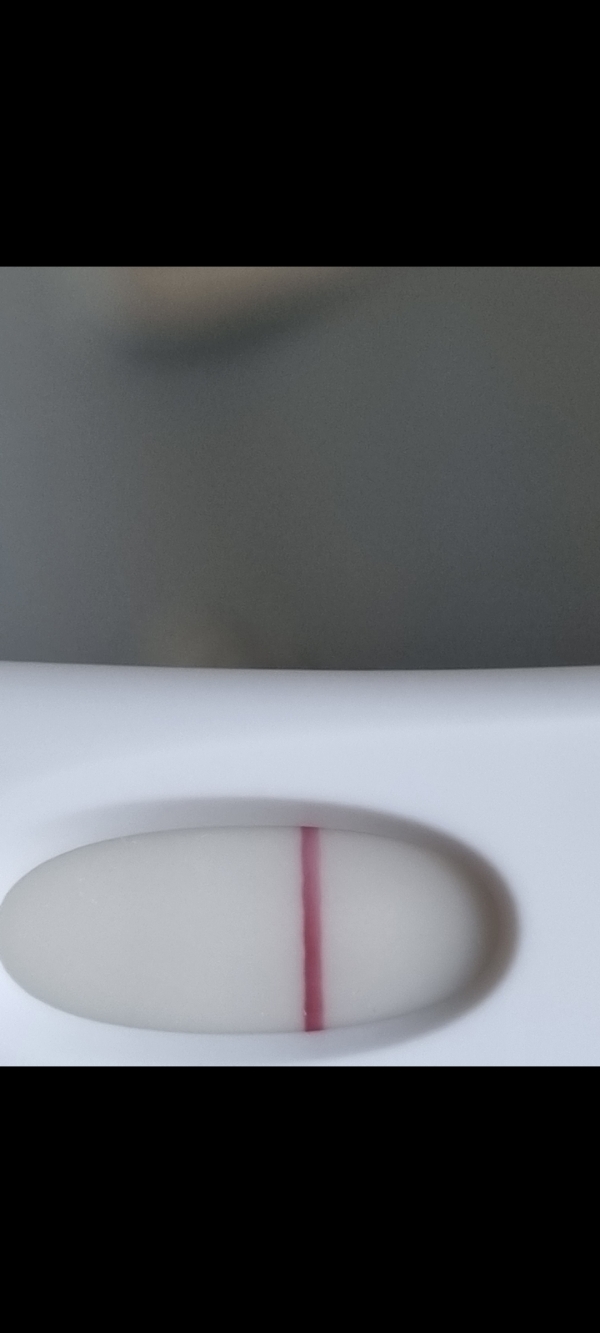 Home Pregnancy Test