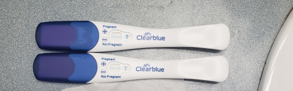 Clearblue Plus Pregnancy Test, 16 Days Post Ovulation, Cycle Day 29