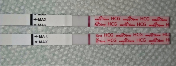 Home Pregnancy Test, 15 Days Post Ovulation