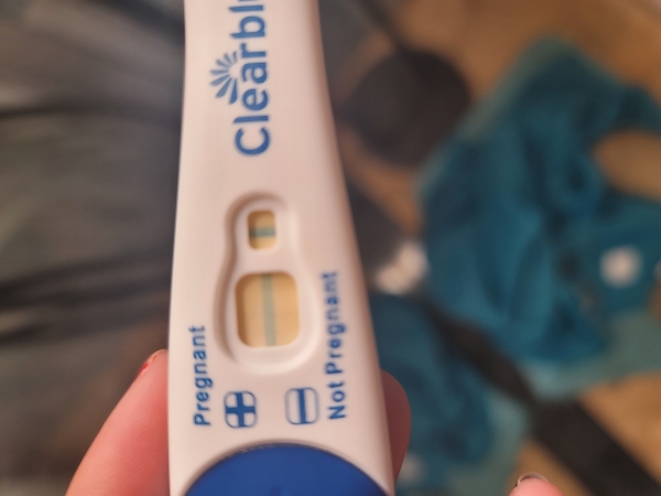 Home Pregnancy Test