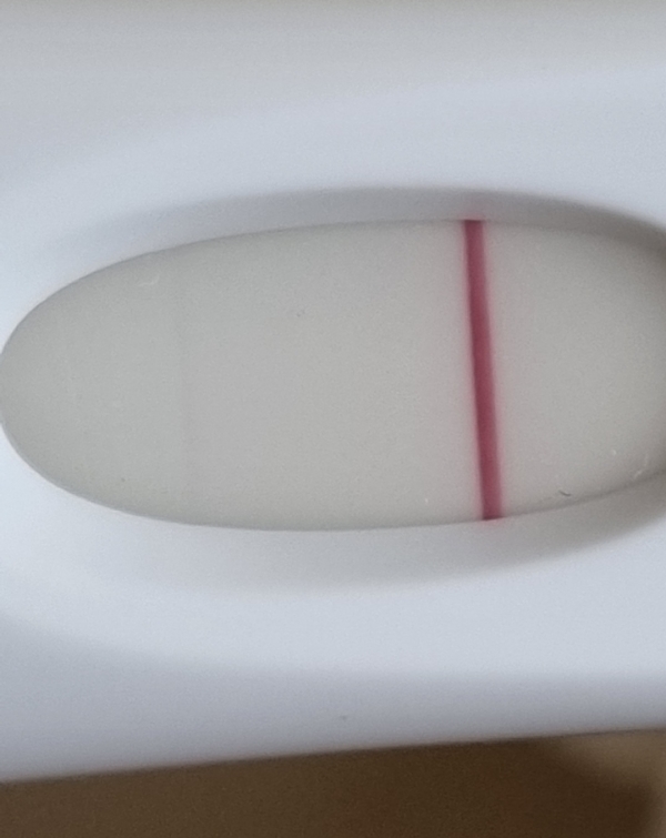 Home Pregnancy Test