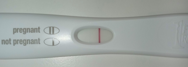 Home Pregnancy Test