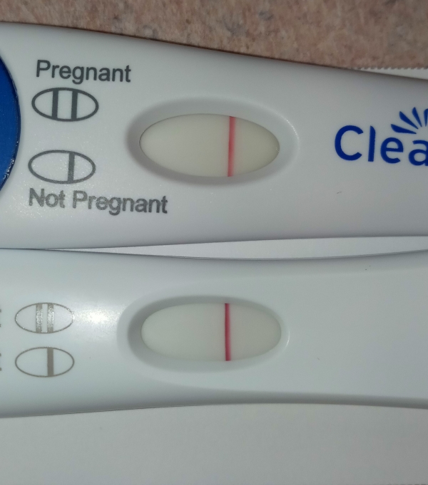 Home Pregnancy Test