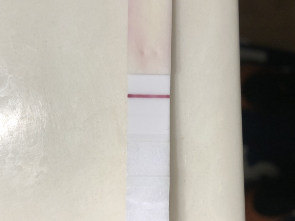 First Response Early Pregnancy Test