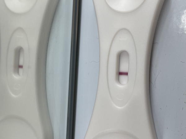 Generic Pregnancy Test, 8 Days Post Ovulation