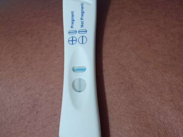 Home Pregnancy Test