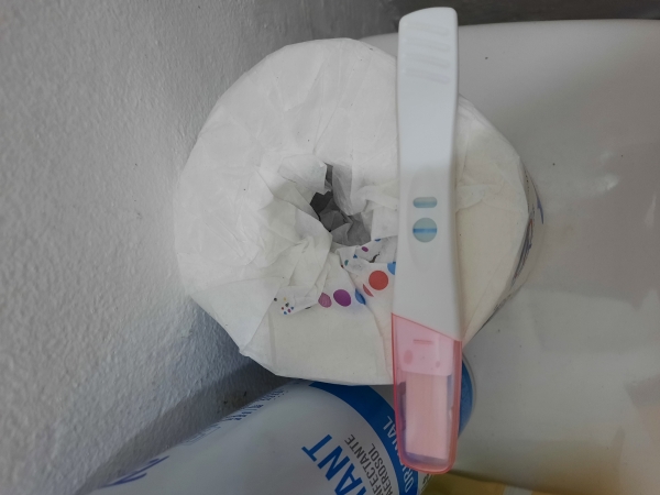 Home Pregnancy Test, Cycle Day 28