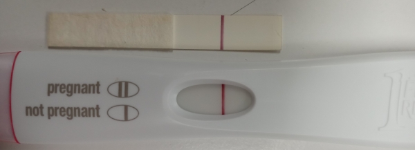 Home Pregnancy Test