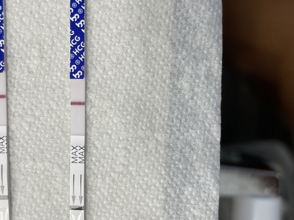 Generic Pregnancy Test, 11 Days Post Ovulation, FMU