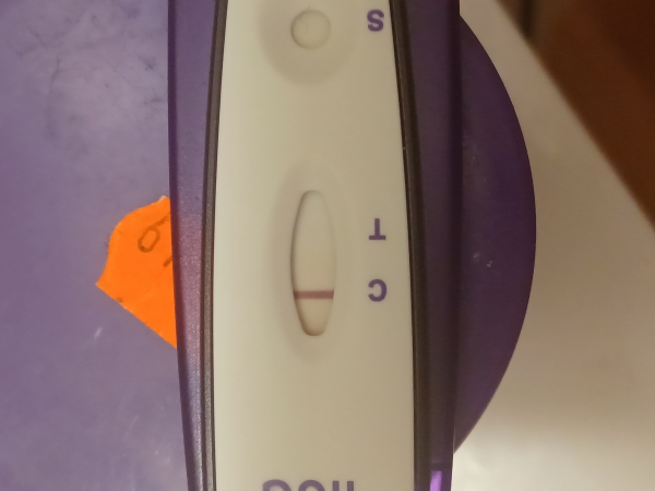 Home Pregnancy Test