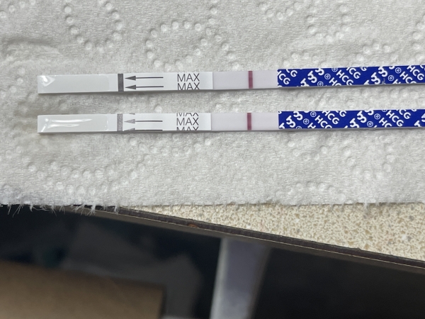 Generic Pregnancy Test, 12 Days Post Ovulation, FMU