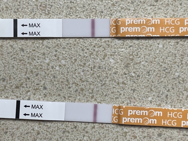 Generic Pregnancy Test, 12 Days Post Ovulation