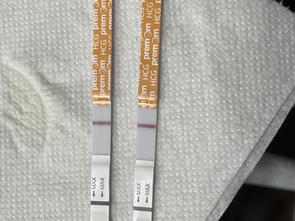 Generic Pregnancy Test, 13 Days Post Ovulation, FMU