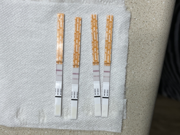 Generic Pregnancy Test, 12 Days Post Ovulation