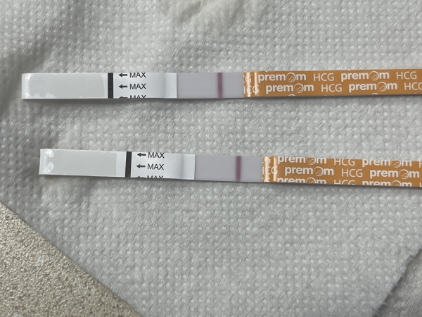 Generic Pregnancy Test, 13 Days Post Ovulation, FMU