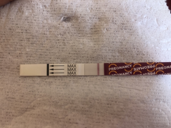 Home Pregnancy Test