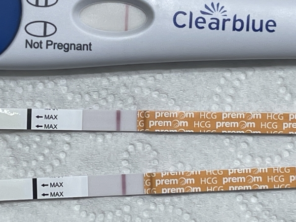 Generic Pregnancy Test, 14 Days Post Ovulation