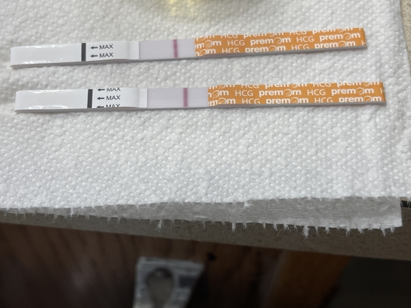 Generic Pregnancy Test, 15 Days Post Ovulation, FMU