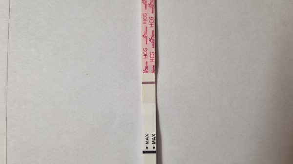 Home Pregnancy Test