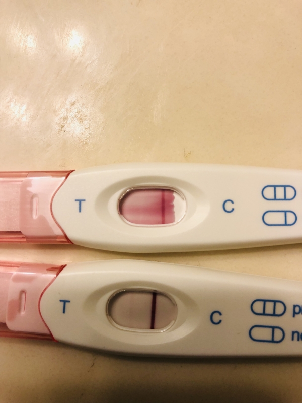 Home Pregnancy Test
