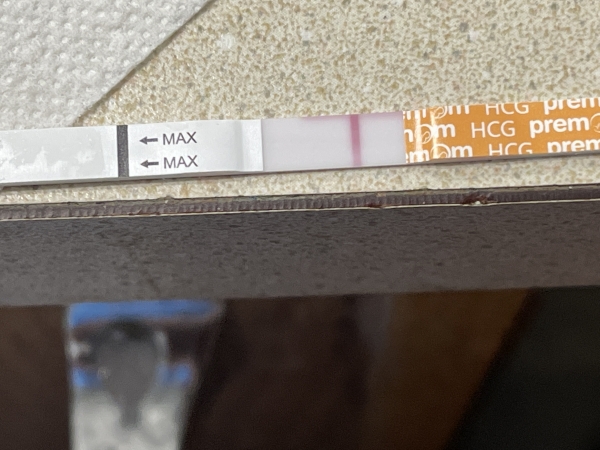 Generic Pregnancy Test, 16 Days Post Ovulation