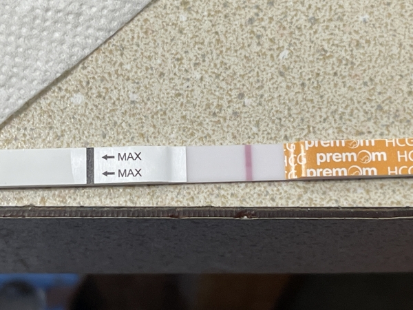 Generic Pregnancy Test, 16 Days Post Ovulation