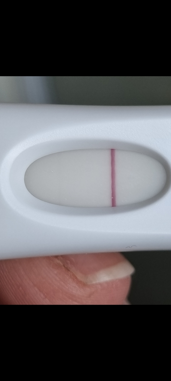 Home Pregnancy Test