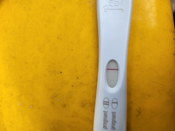 Home Pregnancy Test, Cycle Day 36