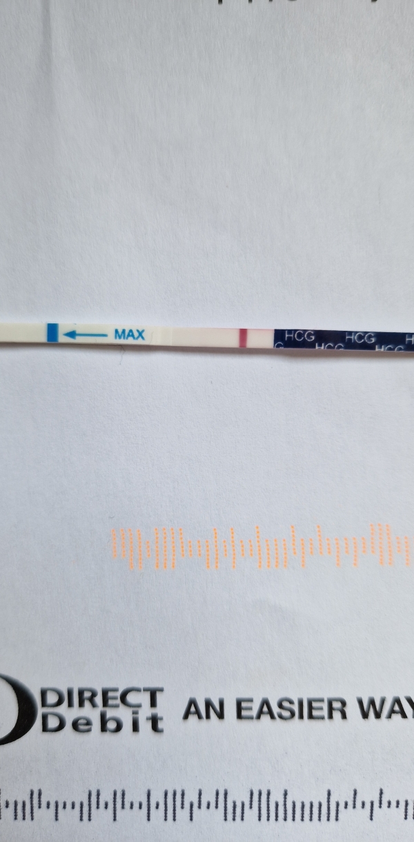 Babi One Step Pregnancy Test, 8 Days Post Ovulation, FMU