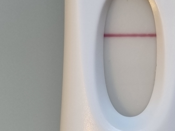 Home Pregnancy Test