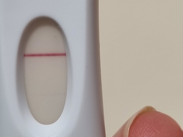 Home Pregnancy Test