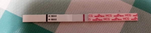 Home Pregnancy Test