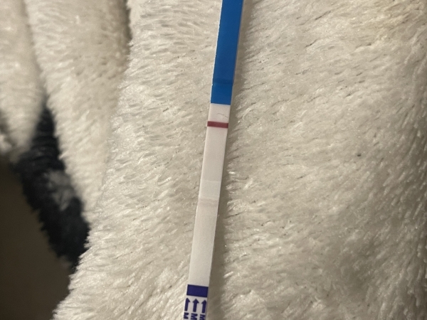 Home Pregnancy Test